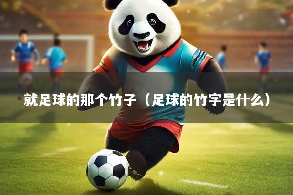 就足球的那个竹子(足球的竹字是什么)