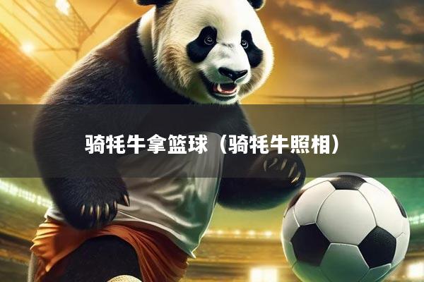 骑牦牛拿篮球（骑牦牛照相）